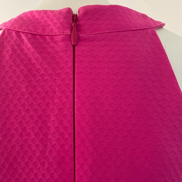 Lilly Pulitzer Size 00 Pink/Fuschia Dress with Gold Embroidery - Picture 3 of 7